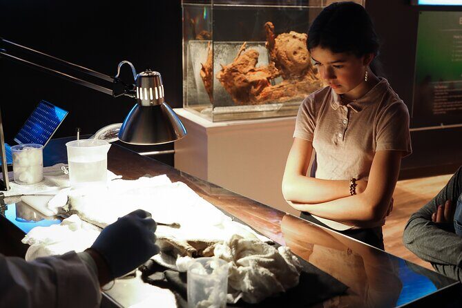 Real Pirates Salem Museum with Guided Directors Tour - Price and Value