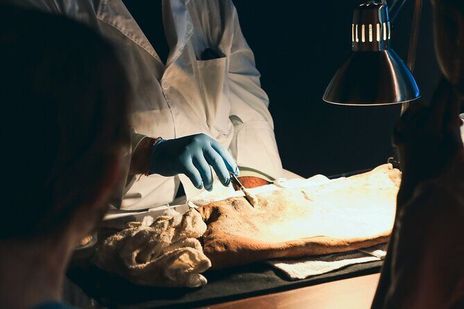 Real Pirates Salem Museum with Guided Directors Tour - Final Thoughts