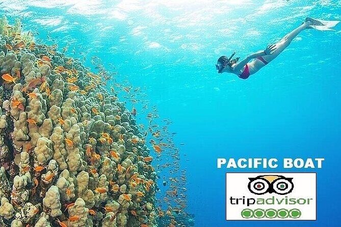 Real snorkel trip to explore Cham island by speedboat-SMALL GROUP - Key Points