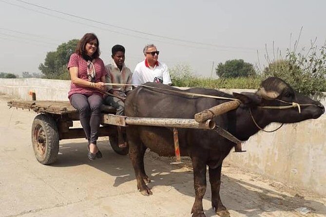 Real Village Tour Amritsar - Exploring the Itinerary in Detail