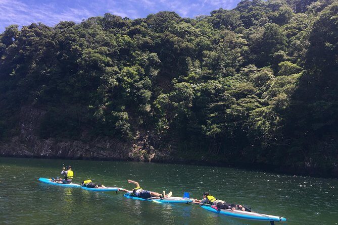 [Recommended on arrival date or before leaving! ] Relaxing and relaxing water walk Awakawa River SUP [Half-day tour] - An In-Depth Look at the Awakawa River SUP Tour
