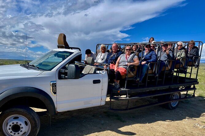 Red Canyon Wild Mustang Safari Truck Tours In Cody Wyoming! - The Experience: Highlights and Challenges