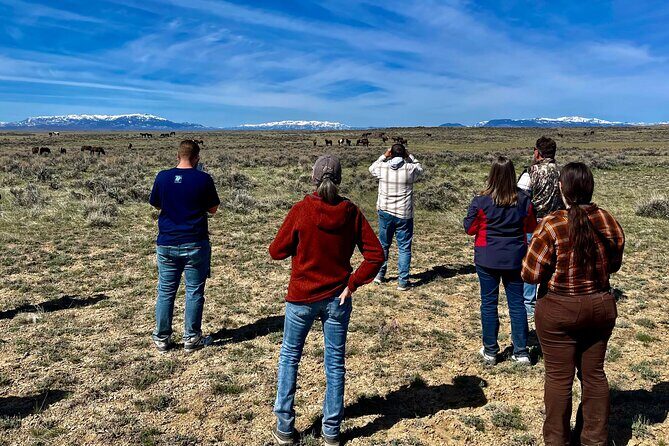 Red Canyon Wild Mustang Safari Truck Tours In Cody Wyoming! - FAQ