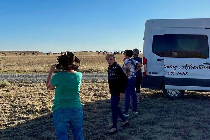 Red Canyon Wild Mustang Tours And Safaris In Cody Wyoming - FAQ