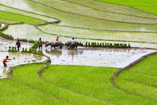 Red Dao village trek and Herbal bath - Exploring the Itinerary in Detail