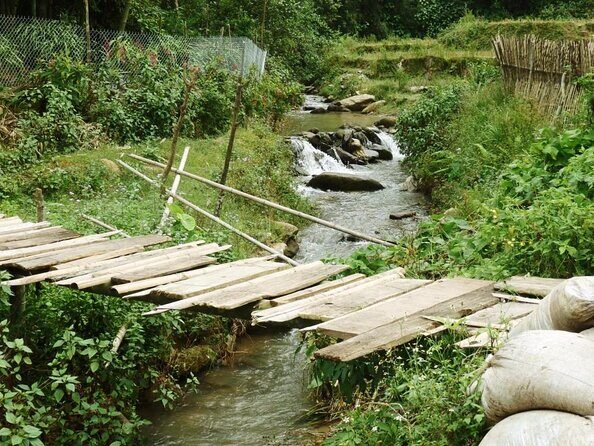 Red Dao village trek and Herbal bath - Who Is This Tour Best For?