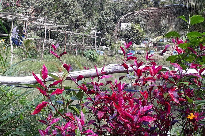 RED RIVER TOUR (Private Tour): LAND ISLAND TOUR AROUND THE SOUTH - Practical Tips for Your Trip