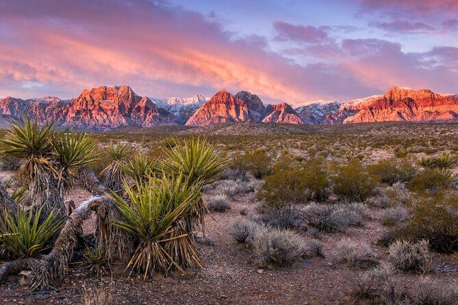Red Rock Canyon Half Day Jeep Tour Offroad Adventure - Key Points