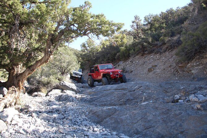 Red Rock Canyon Half Day Jeep Tour Offroad Adventure - How Does It Compare to Other Experiences?