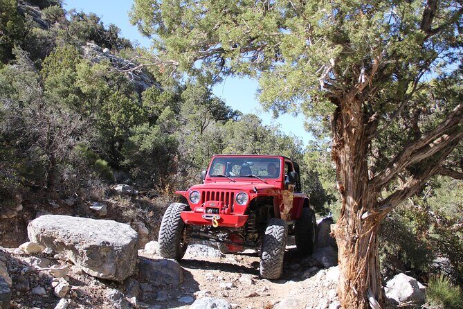 Red Rock Canyon Half Day Jeep Tour Offroad Adventure - Who Is This Tour Best For?