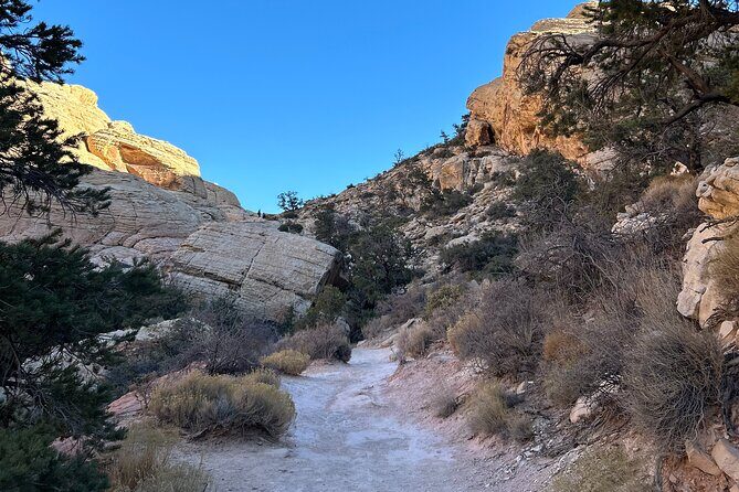 Red Rock Canyon Hiking Adventure fom Las Vegas - Why This Tour Stands Out
