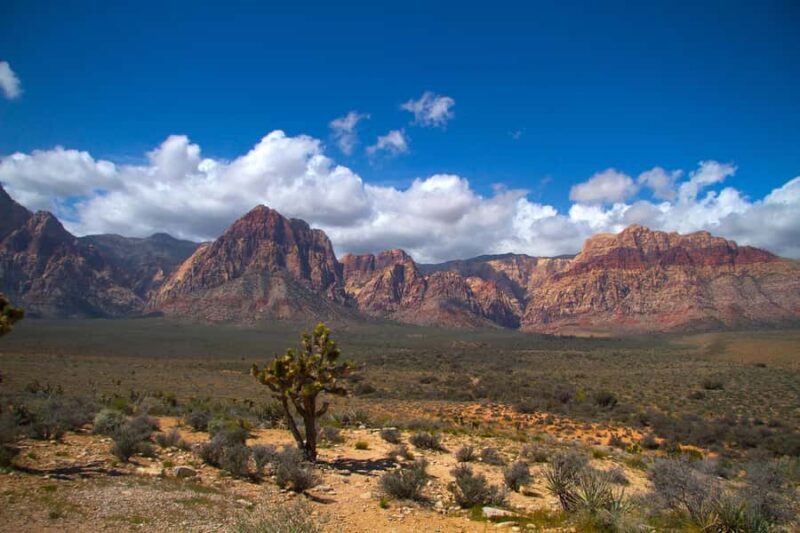 Red Rock Canyon, Seven Magic Mountains, Nelson Ghost Town - A Full Day of Nevada’s Best Kept Secrets