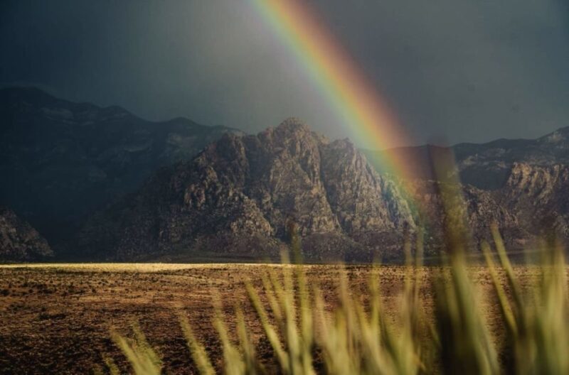 Red Rock Canyon Sign& Seven Magic Mountains Tour - Is This Tour Worth It?
