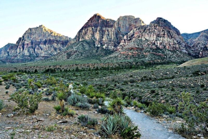 Red Rock Canyon Sign& Seven Magic Mountains Tour - Who Will Love This Tour?