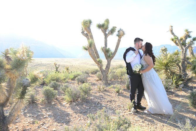 Red Rock Canyon Wedding by Private Limousine - Who Will Love This Experience?