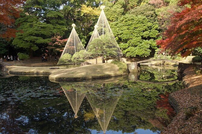 Red, Yellow and Brown - Visit autumn leaves spots in Tokyo - A Deep Dive into the Autumn in Tokyo Experience
