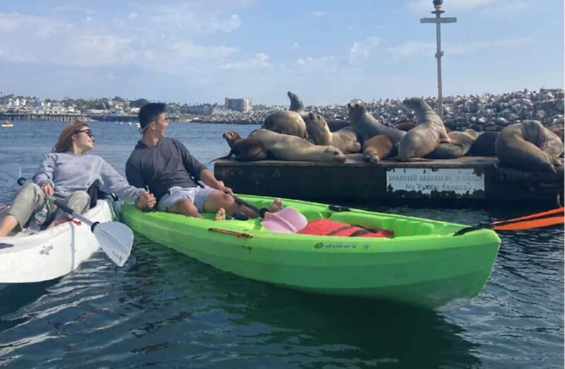 Redondo Beach: Kayak & Snorkel with Sea Lions Tour - Key Points