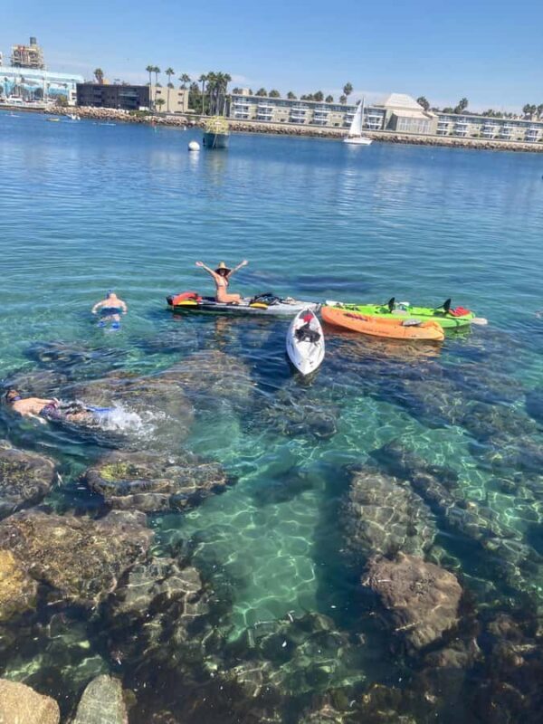 Redondo Beach: Kayak & Snorkel with Sea Lions Tour - The Sum Up