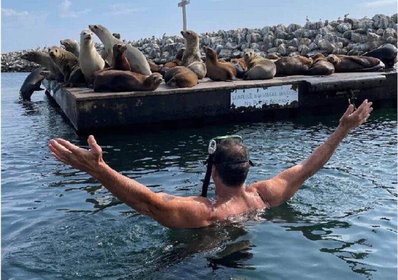 Redondo Beach: Kayak & Snorkel with Sea Lions Tour - FAQ
