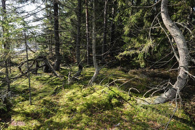 Redrib Cottage Locals Experience - FAQ