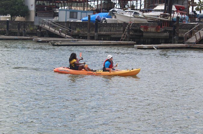Redwood City Double Kayak Rental - Discovering San Francisco Bay by Double Kayak