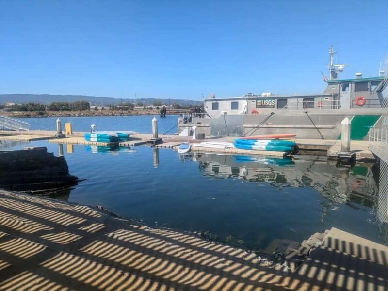 Redwood City: Stand-Up Paddleboard Rental - The Real Experience: Insights and Authenticity