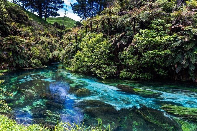 Redwood Forest , Blue Springs & Huka Falls Day Tour from Auckland - Final Thoughts