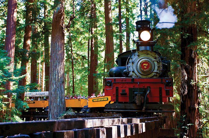 Redwood Forest, Santa Cruz Harbor 1-Day Trip from San Francisco - Additional Highlights