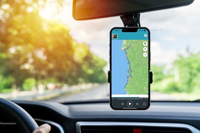 Redwood National Park Self-Guided Audio Tour - A Deep Dive into the Redwood Experience
