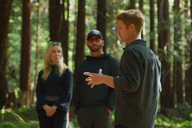 Redwoods Forest Bathing - Exploring the Heart of Santa Cruz’s Redwoods