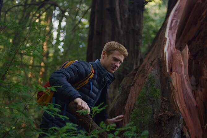 Redwoods Forest Bathing - The Sum Up: The Forest Bathing Experience Worth Trying