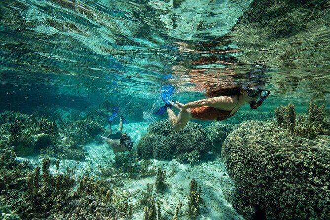 Reef Discovery Luxury Private Snorkeling Lagoon Tour - Who Is This Tour Best For?