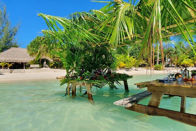 Reef Discovery Luxury Water Lunch Cruise - An In-Depth Look at the Reef Discovery Luxury Water Lunch Cruise