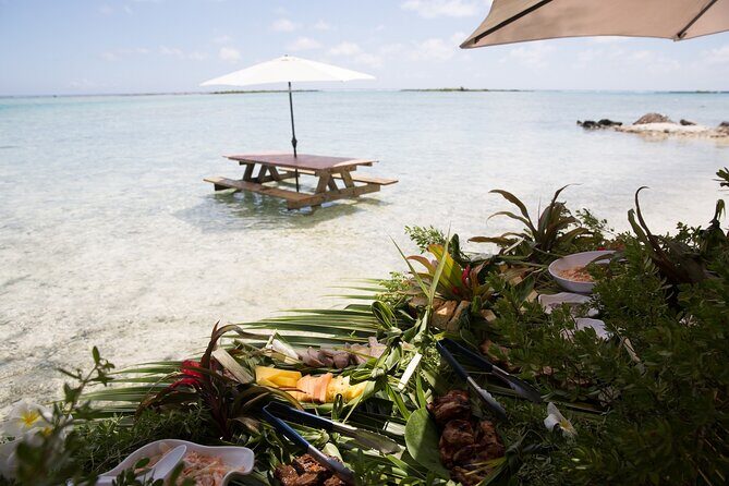 Reef Discovery Private Dream Day Tour - Final Thoughts: Who’s This Tour Best For?