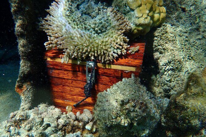 Reef Discovery Private Treasure Hunt - FAQ