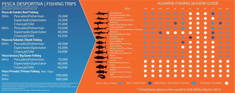Reef Fishing in Vilamoura - Key Points