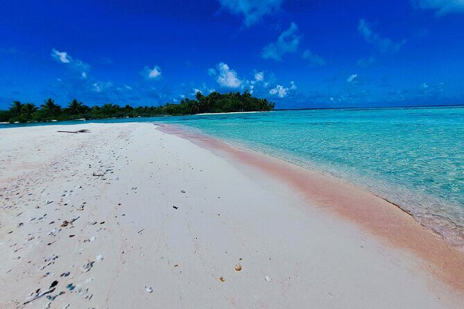 REEF ISLAND | private island | pink sand | natural swimming pools - The Journey Begins: From Ohotu to Reef Island