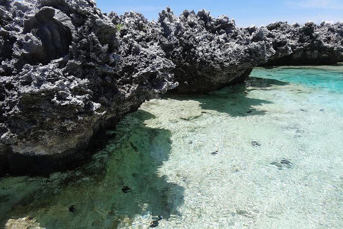 REEF ISLAND | private island | pink sand | natural swimming pools - Tiputa Pass and Dolphin Encounters