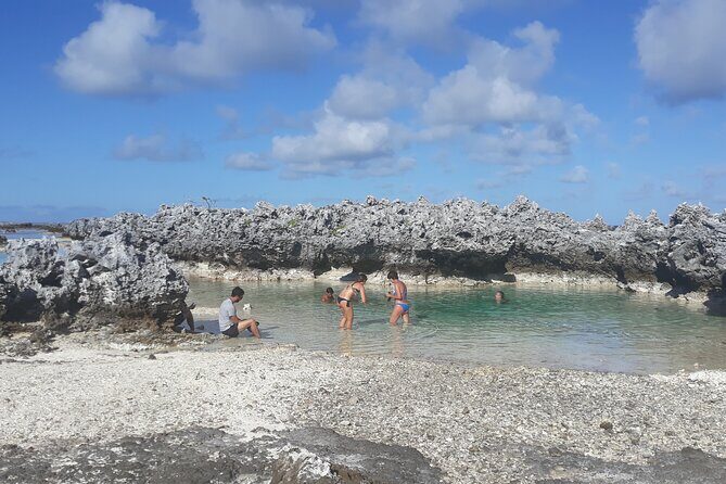 Reef island private tour - The Sum Up