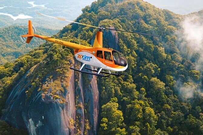 Reef Rainforest Fusion - 45 Minute Reef and Rainforest Flight - Final Thoughts