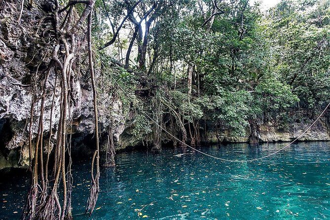 Reef Snorkel + 3 Cenotes with local food experience! - Who Is This Tour Best For?