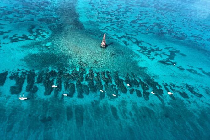 Reef Snorkel Adventure at Sombrero Key Light Reef - Introduction