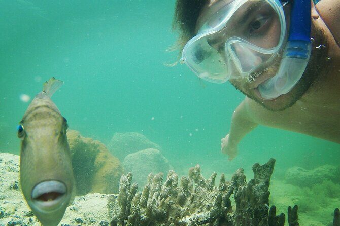 Reef Snorkel + Sandbar & Sunset Sail-Small Groups with Honest Eco - Who Is This Tour Best Suited For?