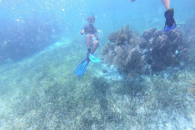 Reef Snorkel, underwater adventure in Puerto Morelos With Transportation & Lunch - Final Thoughts: Is This Tour Right for You?