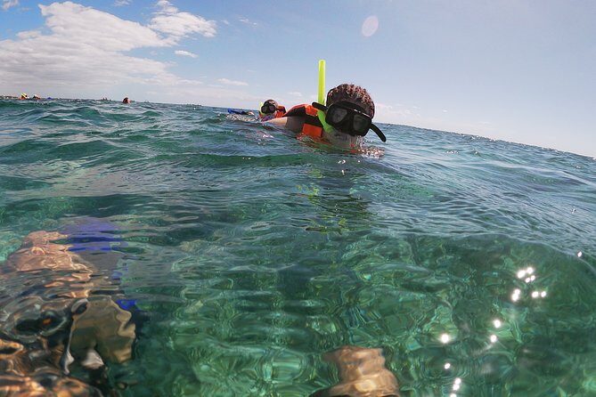 Reef Snorkeling with ATV, Zipline, Cenote that includes lunch and transportation - Key Points