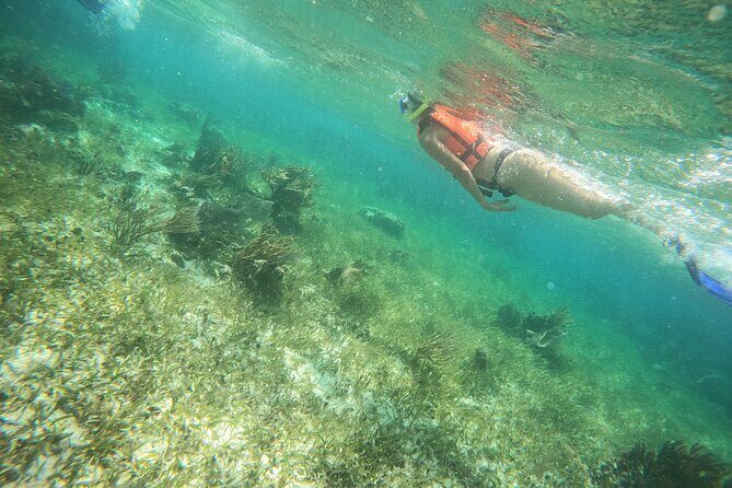 Reef Snorkeling with ATV, Zipline, Cenote that includes lunch and transportation - Practical Considerations