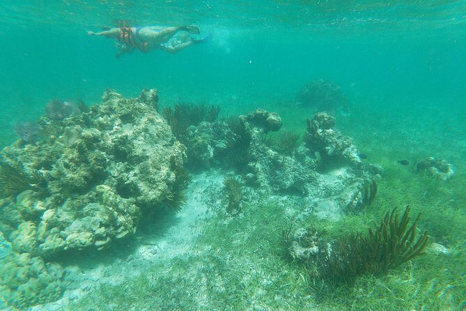 Reef Snorkeling with ATV, Zipline, Cenote that includes lunch and transportation - FAQ