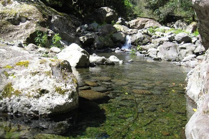 Referta Castelejo Levada Walk from Funchal - Why You’ll Love the Guided Experience