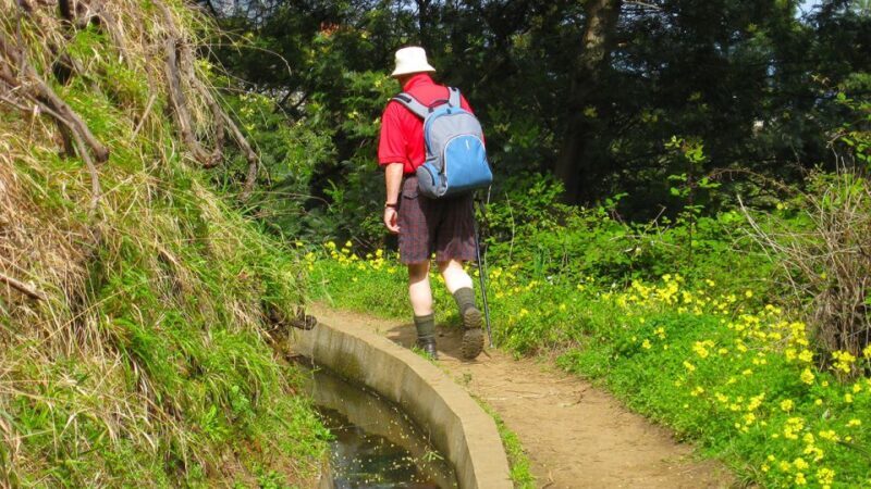 Referta / Castelejo - Levada Walk - Who Would Enjoy This Tour?