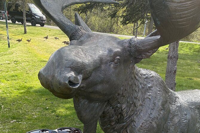 Refined Alaskan Escape: Private, Custom Journey with Local Expert - An In-Depth Look at the Tour Itinerary